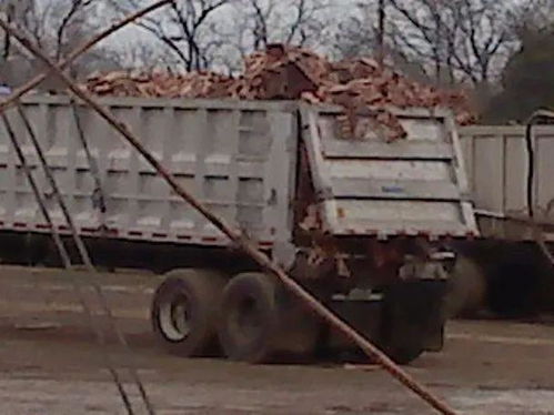 擴散,美國知名網(wǎng)站曝光,很多工廠回收動物副產品和廚房垃圾做寵物糧 買進口糧的鏟屎官需注意了