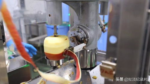 日本的孩子不吃盒飯 來看看日本的食品加工廠如何制作中小學生午餐